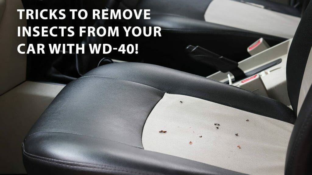 Tricks To Remove Insects From Your Car With WD40! WD40 India