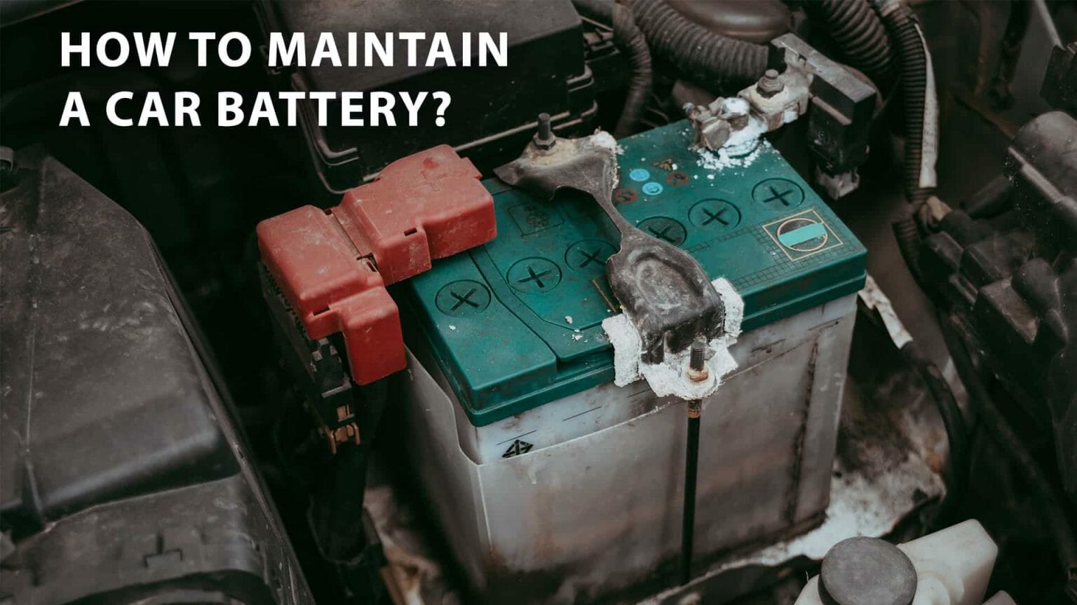 How To Maintain A Car Battery? WD40 India