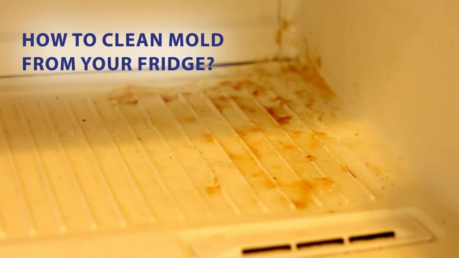 How to clean mold from your fridge? WD40 India