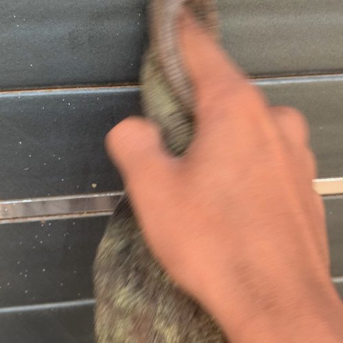 Dirty door cleaning