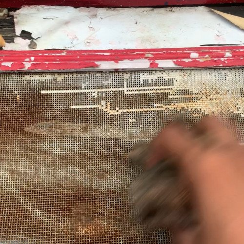 Cleaning net