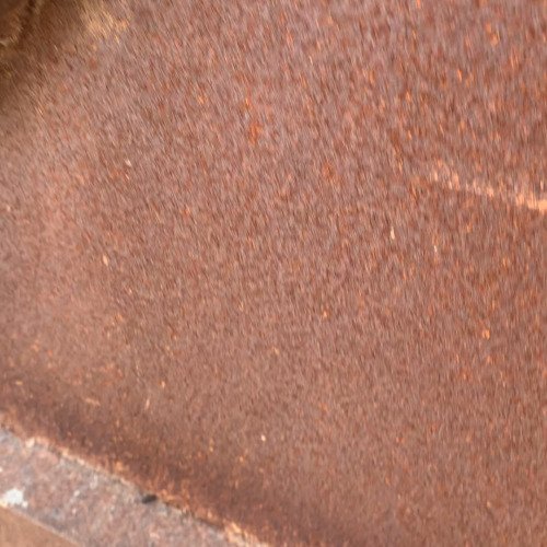 Old rusted gate cleaning
