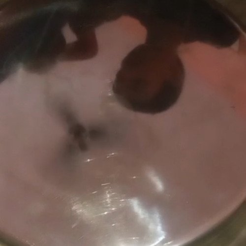 Stainless steel plate cleaning