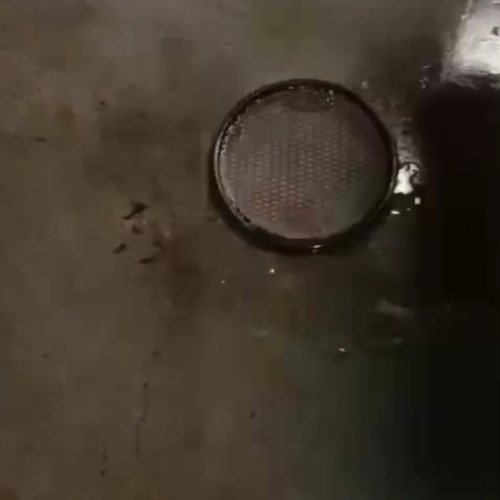 Kitchen brush cleaning