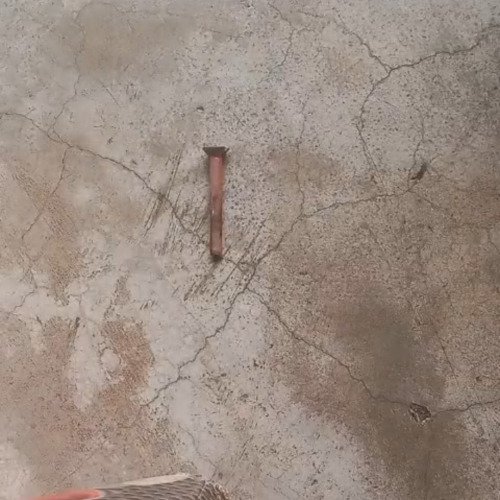 Rusted iron nail cleaning