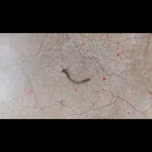 Old rusted nail cleaning