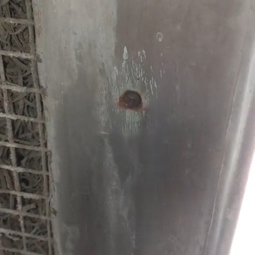 Cooler bolt cleaning