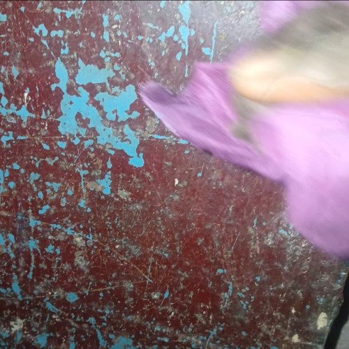 Dirty gate cleaning up