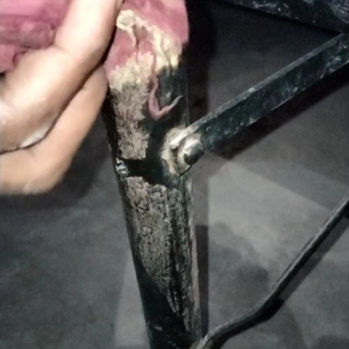 Palang stand cleaning