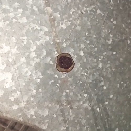 Cleaning cooler bolt