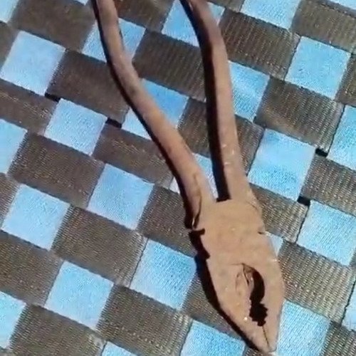 Old rusted pliers cleaning