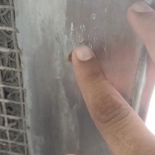 Cooler bolt cleaning