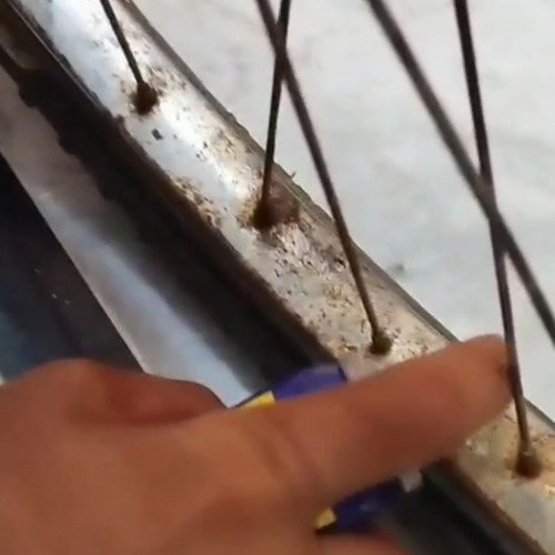 Cleaning bycycle reem fox