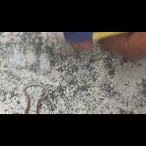 Cleaning steel metal