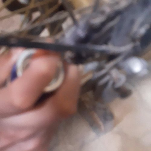 Cycle chain cleaning