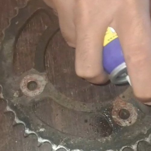 Cycle chain ring cleaning