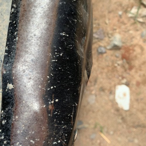 Exhaust pipe frame cleaner