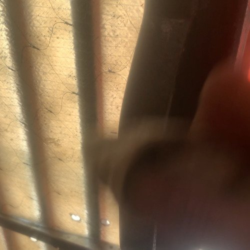 Iron door handle cleaning