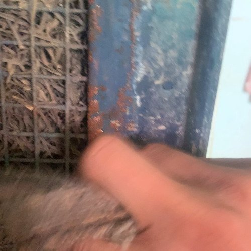 Cooler body rust cleaning
