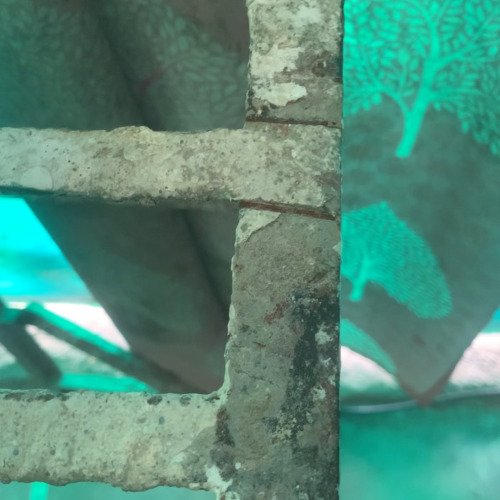 Rusted iron cleaning