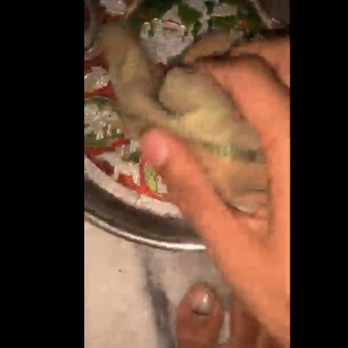 Cleaning silvered plate