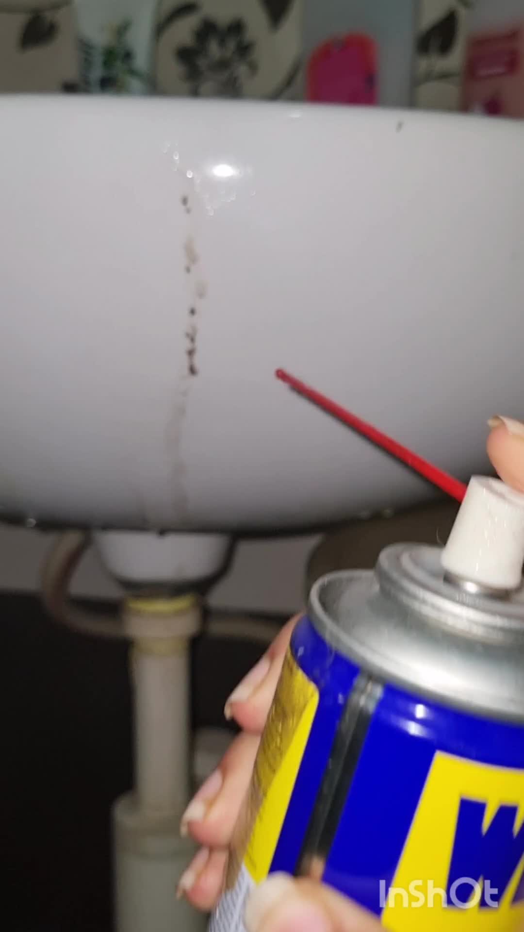 Restore Don't Replace 2023 Wd40